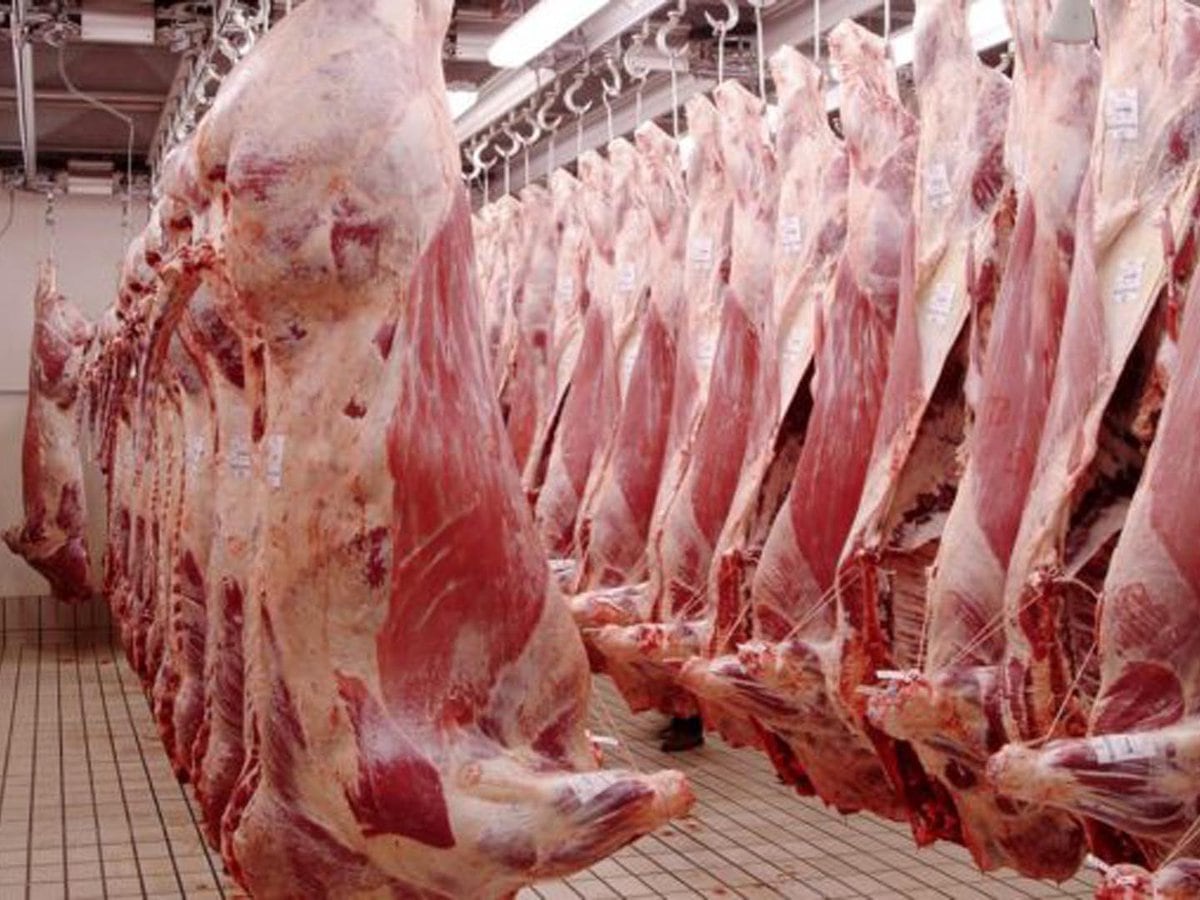 El Gobierno reglamentó el nuevo esquema para la exportación de carne  vacuna: cuáles son las 63 empresas con cupo para vender al exterior -  Infobae
