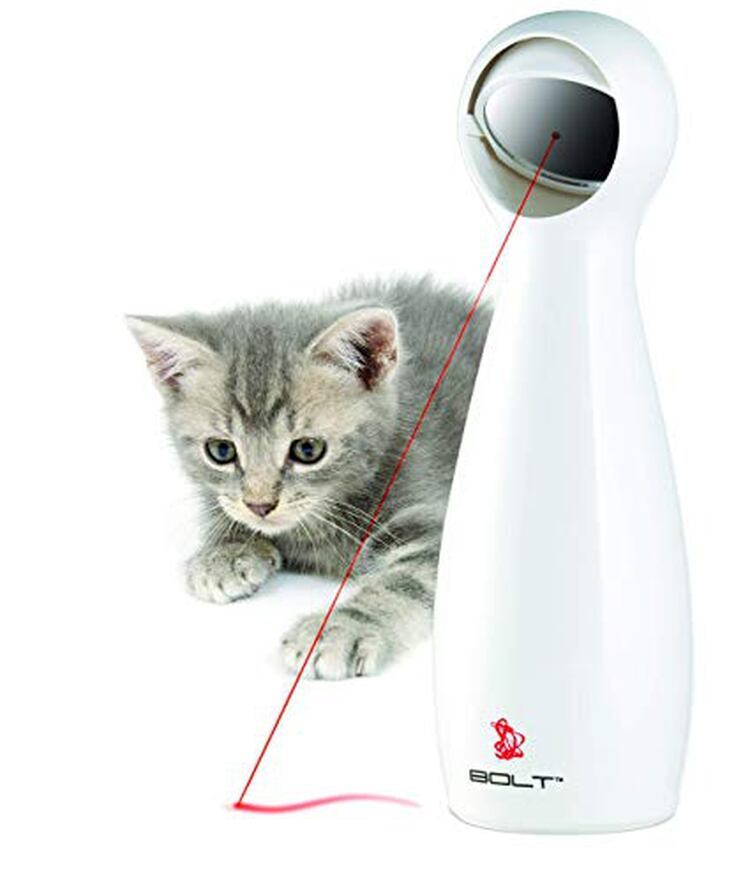 Un juguete con láser para interactuar con el gato.