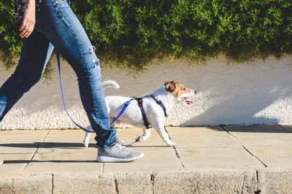 Si no tienen su plan de vacunación completo no podrán ir de paseo a la calle, caminando en el piso(Shutterstock)