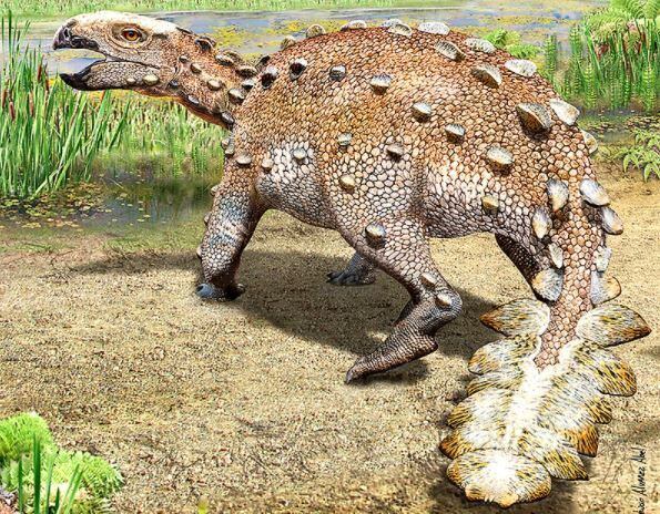 02-12-2021 Stegouros elengassen es el nombre de este nueva especie de dinosaurio acorazado que vivió hace 74 millones de años en el territorio de la actual Patagonia que pertenecía al megacontinente Gondwana.POLITICA INVESTIGACIÓN Y TECNOLOGÍAMAURICIO ÁLVAREZ