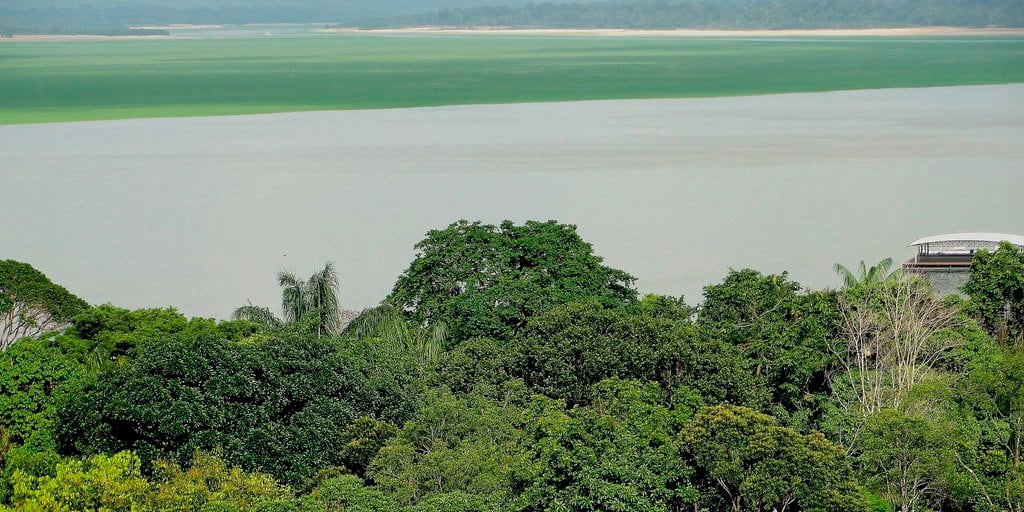 Francia financia proyecto para proteger millones de hectáreas en la  Amazonía - Infobae