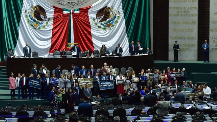 Cámara de Diputados Sesión Ordinaria (Foto: Cuartoscuro)