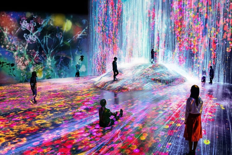 Universe of Water Particles on a Rock (teamLab Borderless)