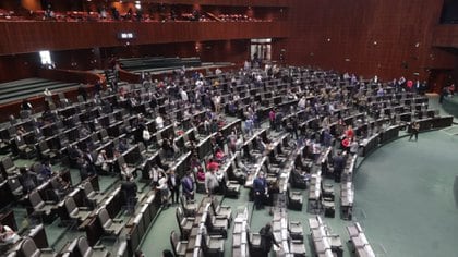 (Foto: Cortesía Cámara de Diputados)