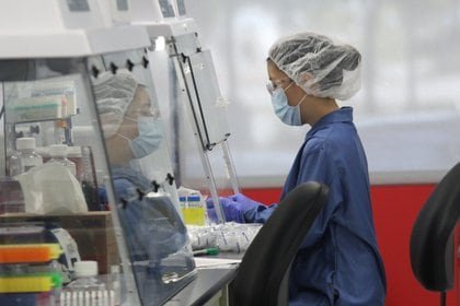 Una técnica en laboratorio produce un test rápido contra el virus SARS-CoV-2 en San Jose, California, Estados Unidos (REUTERS/Nathan Frandino)