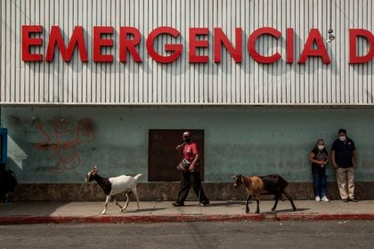 Un hombre camina junto a sus cabras frente al Hospital San Juan de Dios, donde se atiende a pacientes de coronavirus. EFE/Esteban Biba/Archivo

