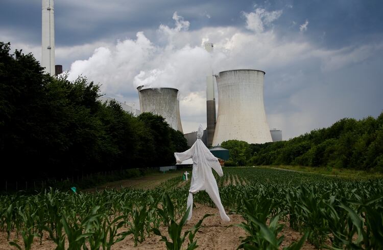 Un espantapájaros en un campo de maíz frente a la central de carbón de Neurath de la empresa alemana RWE en Neurath, al oeste de Colonia, Alemania, el 19 de junio de 2019 (REUTERS/Wolfgang Rattay/Archivo Foto)