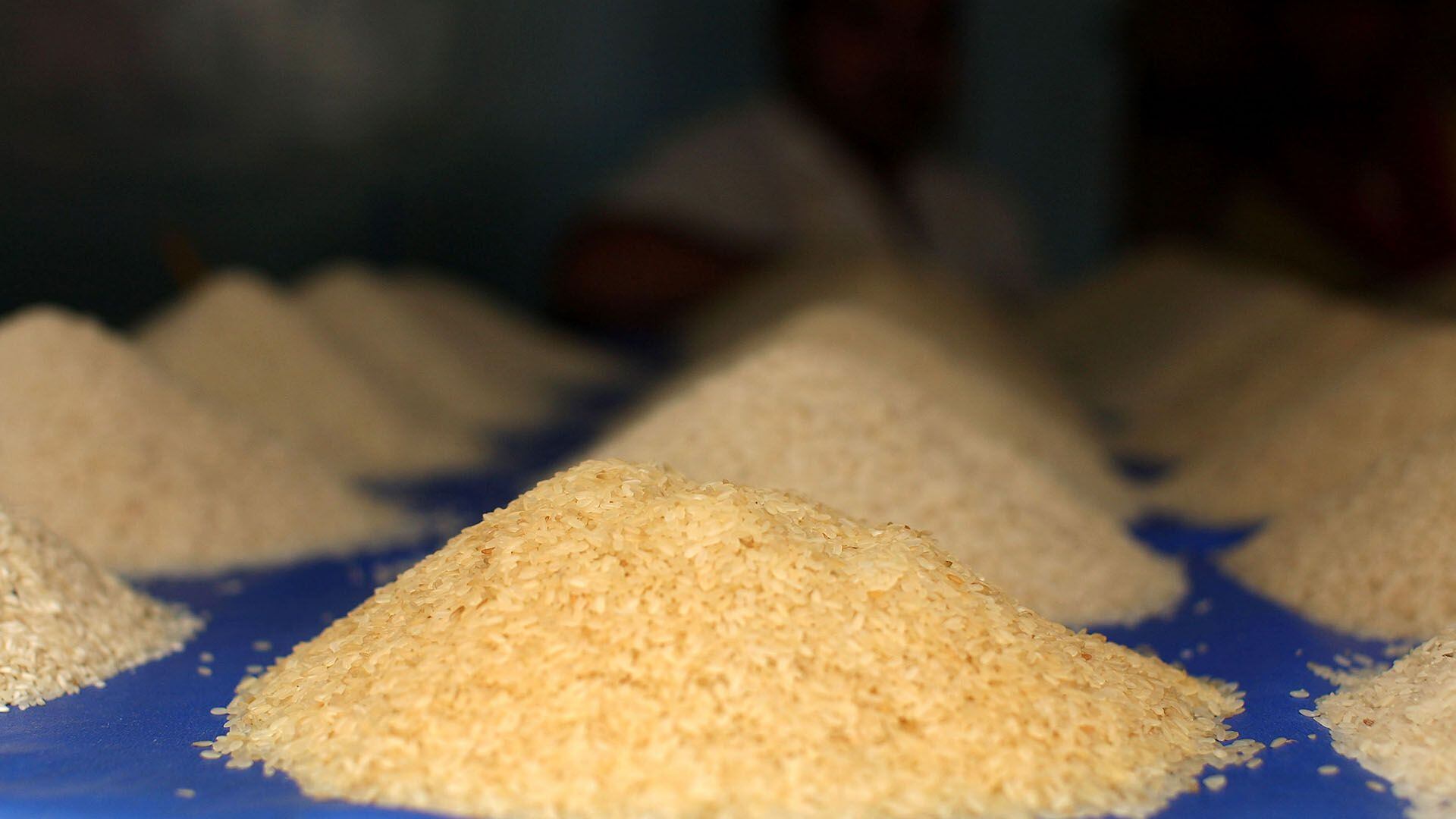 El arroz será una de las economías regionales que tendrá una reducción en la alícuota de derechos de exportación (Getty)