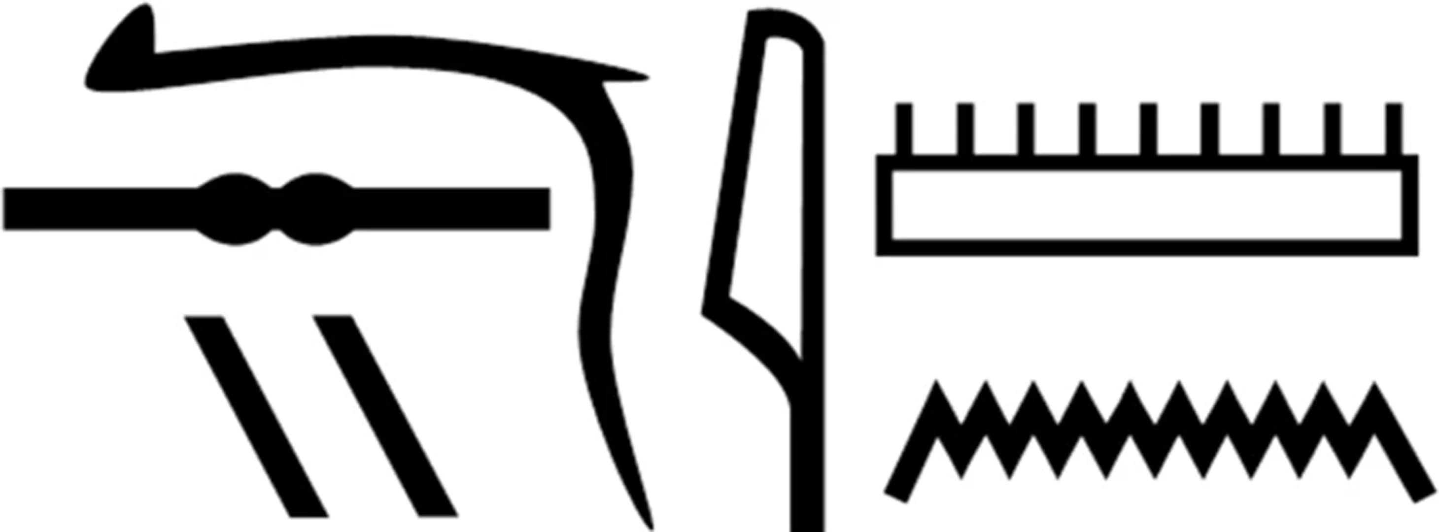 El nombre de Nesyamun en jeroglíficos, tal como aparece en su sarcófago. (Foto: Nature)