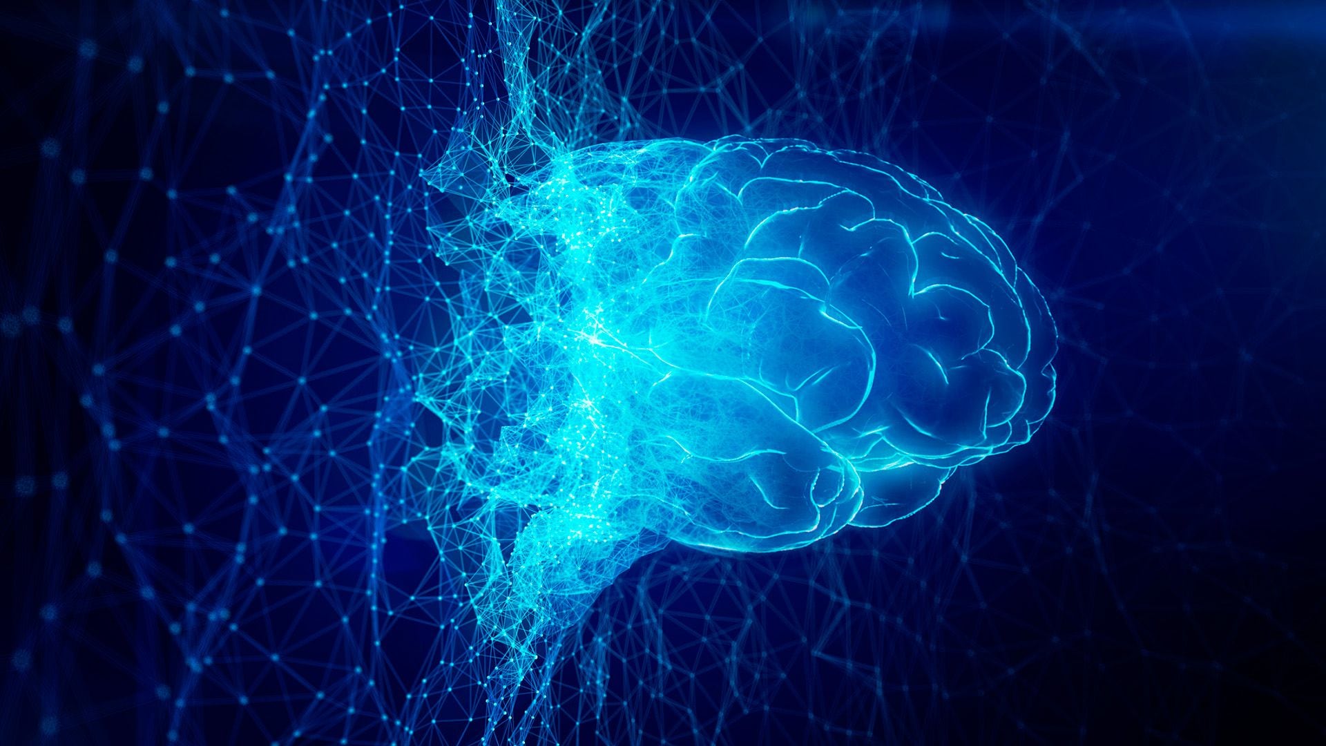 cerebro, sinapsis, actividad neuronal, neuronas