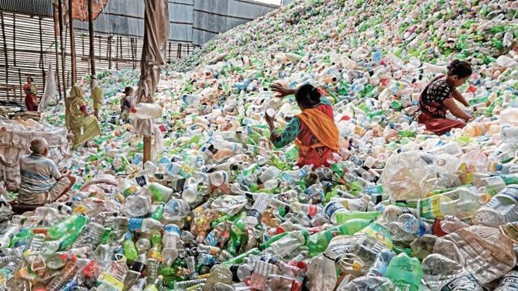 Los recolectores de plástico no dan abasto frente a la acumulación que generan las botellas plásticas (Shutterstock)