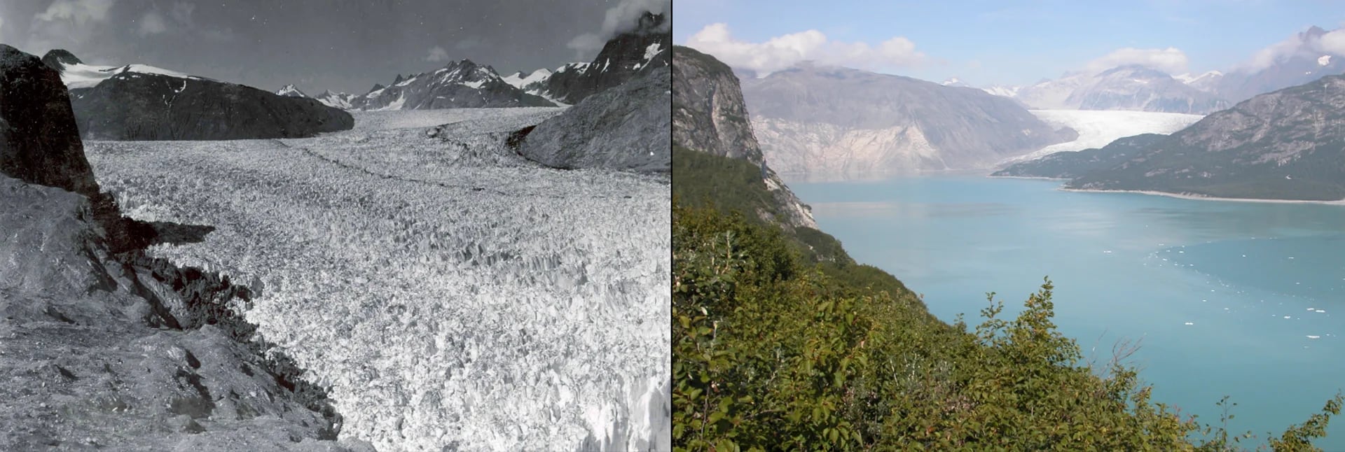 Derretimiento del glaciar de Muir, Alaska: del 13 de agosto de 1941 al 31 de agosto de 2004