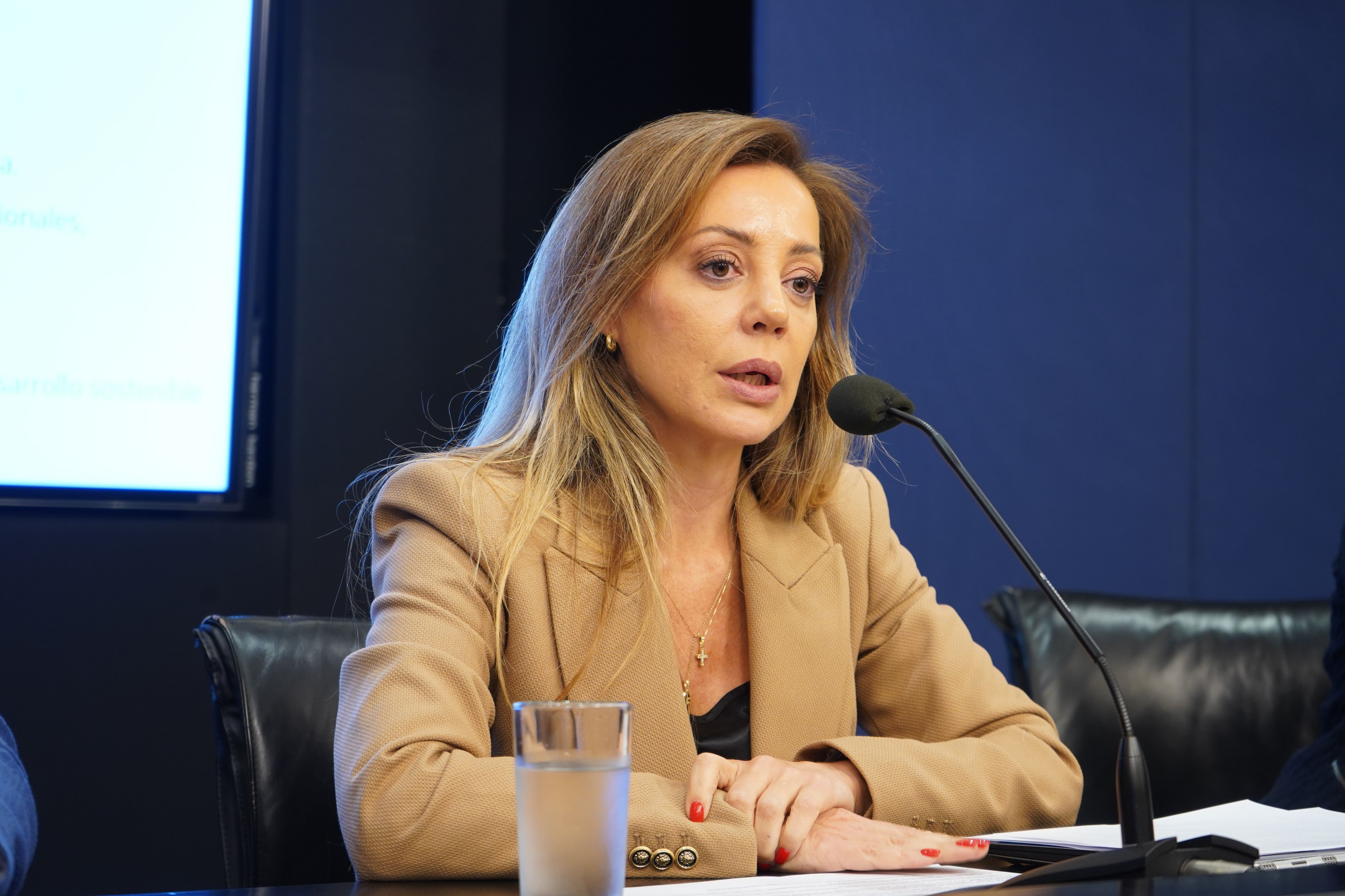 Flavia Royón, secretaria de Energía