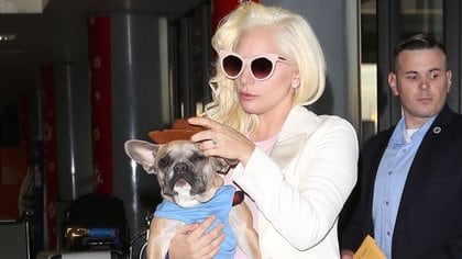 Foto de archivo: Lady Gaga con Koji en brazos en Los Ángeles en 2015 (The Grosby Group)