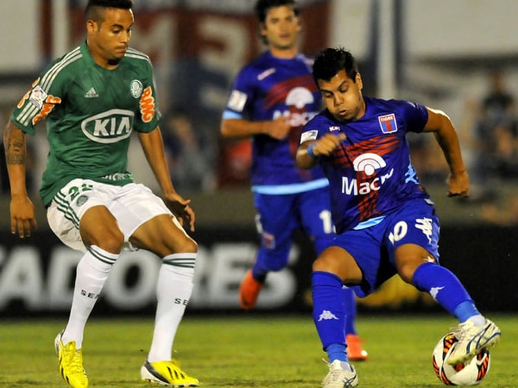 Resultado de imagen para palmeiras tigre