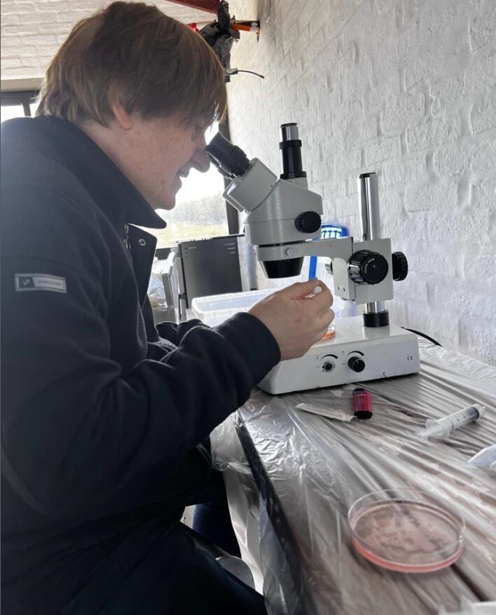 El experto del Conicet trabaja junto con la empresa startup New Organs Biotech S.A. 