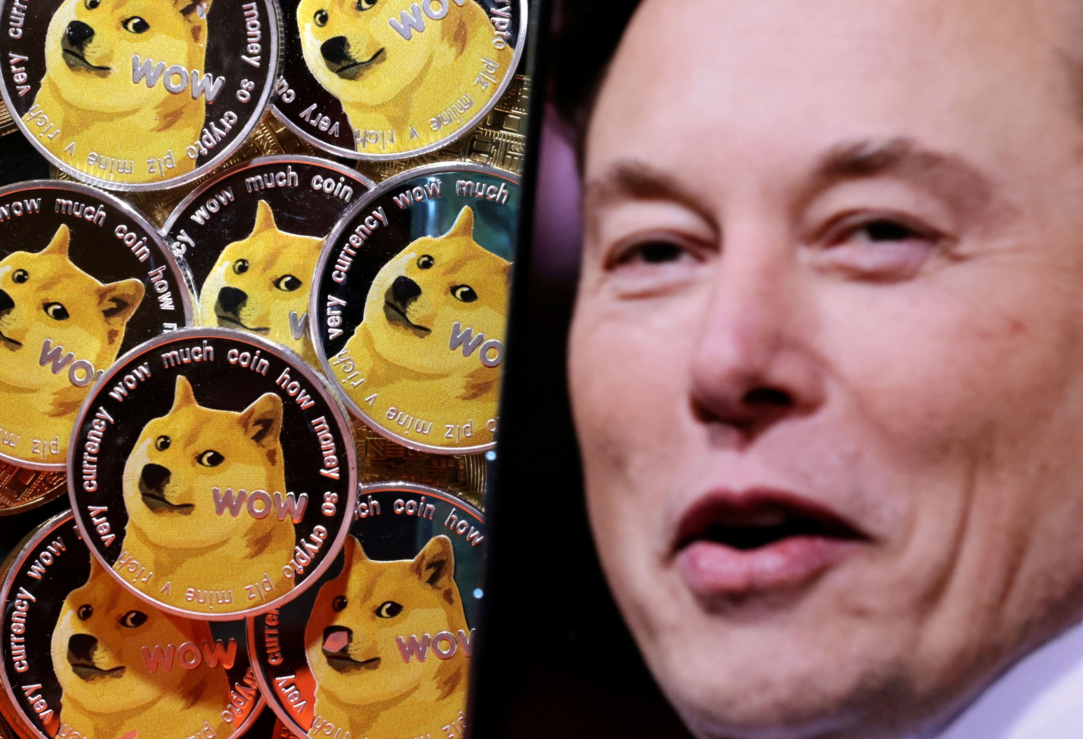 Elon Musk y Dogecoin (REUTERS/Dado Ruvic/Illustration/File Photo)