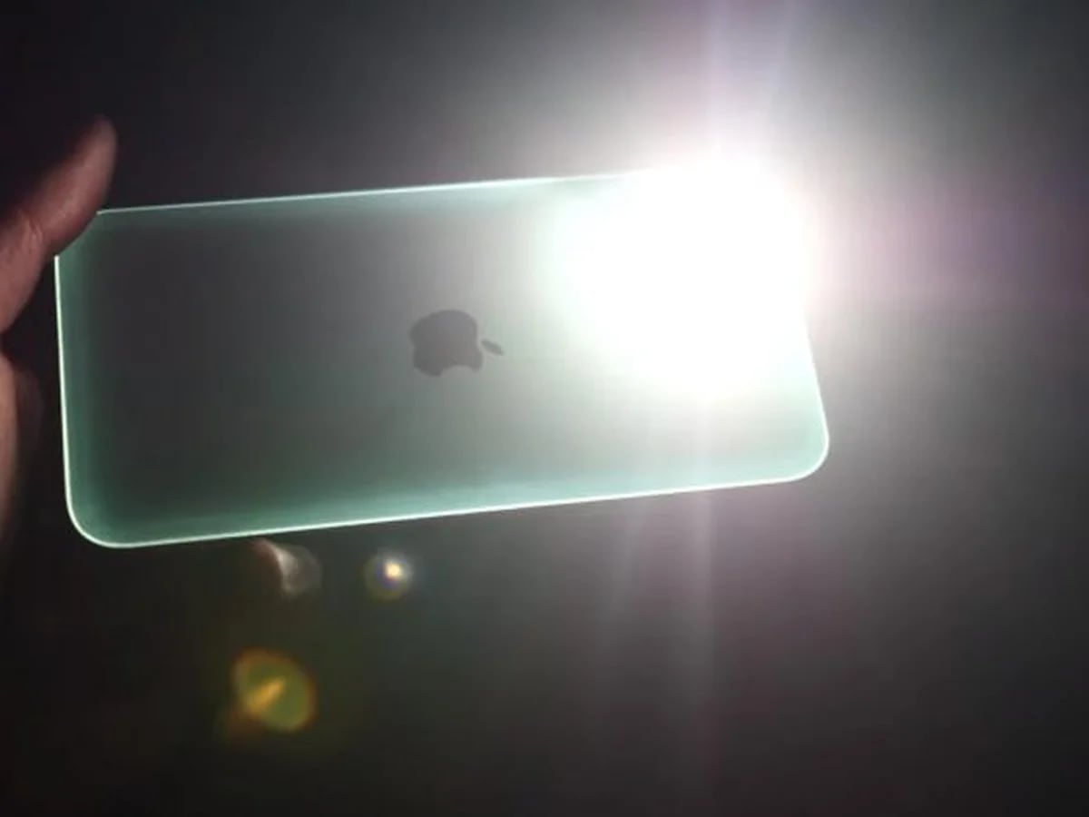 Piñón avaro Escoger iPhone: truco para que la linterna se active cuando haya notificaciones o  una llamada - Infobae