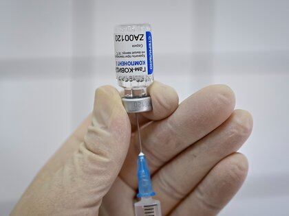 El Ministerio de Salud dio a conocer 317 casos de ESAVI (efectos adversos) posteriores a la vacunación tras la aplicación de 32.013 dosis de la vacuna rusa Sputnik V a argentinos  (REUTERS/Sergey Pivovarov/File Photo)