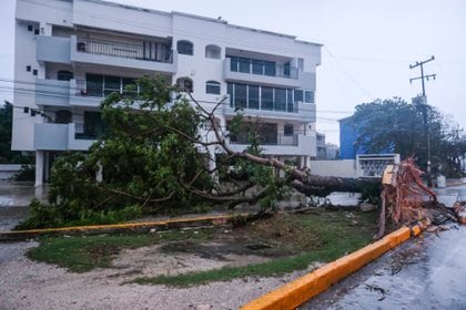 Imágenes de los destrozos que causó Delta en Cancún (Foto: AP/Victor Ruiz Garcia)