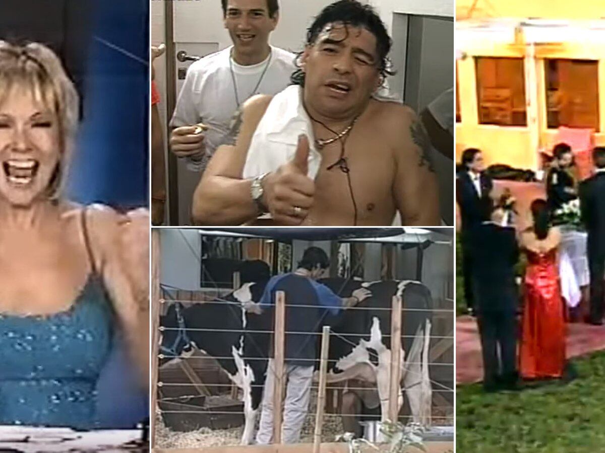 Una Vaca Adentro De La Casa El Ingreso Inesperado De Maradona Y Un Premio De 200 Mil Dolares A 19 Anos Del Primer Gran Hermano Infobae