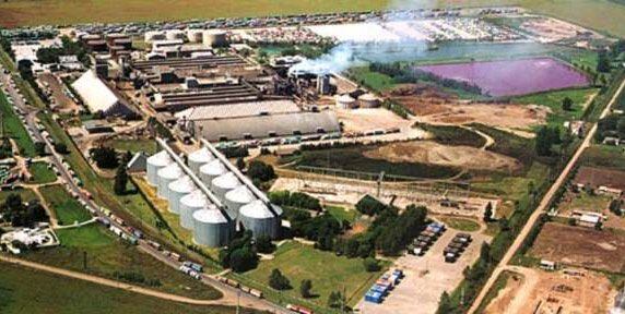 Vicentin debio suspender pagos ante el retroceso del financiamiento en dólares en el mercado local