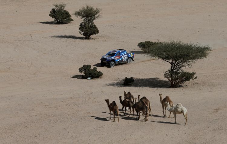 Erik Van Loon y Sebastien Delaunay se cruzaron con una familia de camellos en la segunda etapa. Foto: REUTERS/Hamad I Mohammed