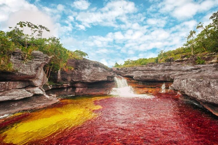 La época para conocer estas imponentes aguas son de mayo a los últimos días de noviembre (“Fotografía Caño Cristales: por Mario Carvajal (cc) 2012″)