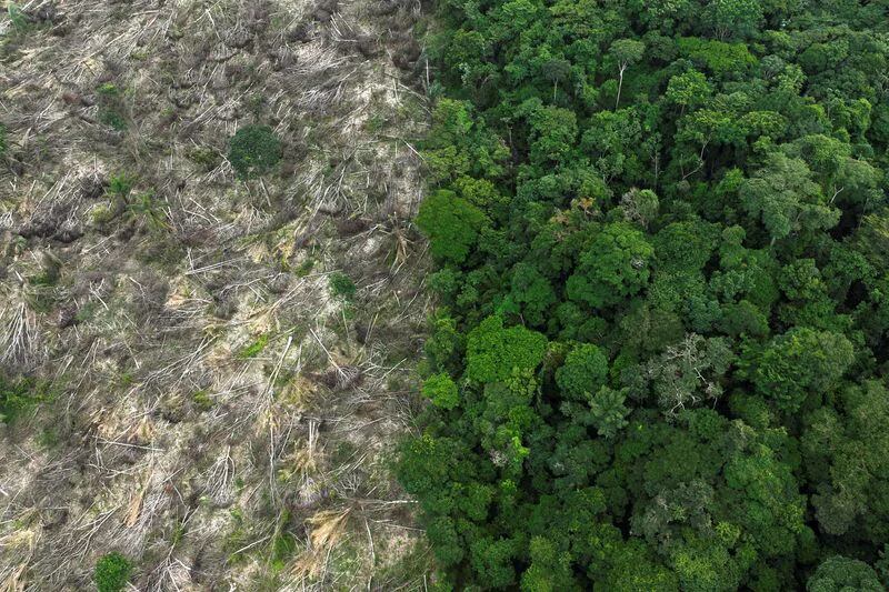 Área deforestada en el estado brasileño de Pará (REUTERS/Ueslei Marcelino/Archivo)