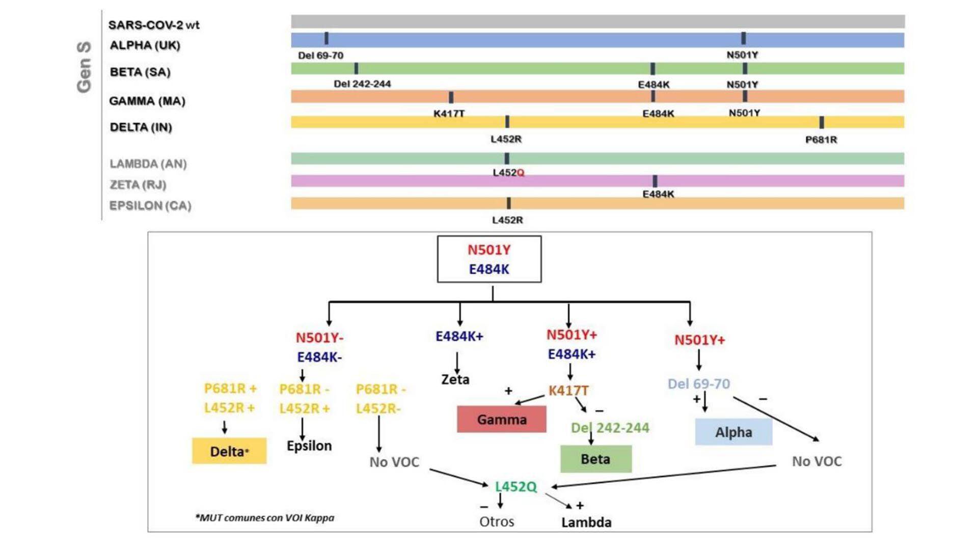 Una imagen del flujo de trabajo para variantes 