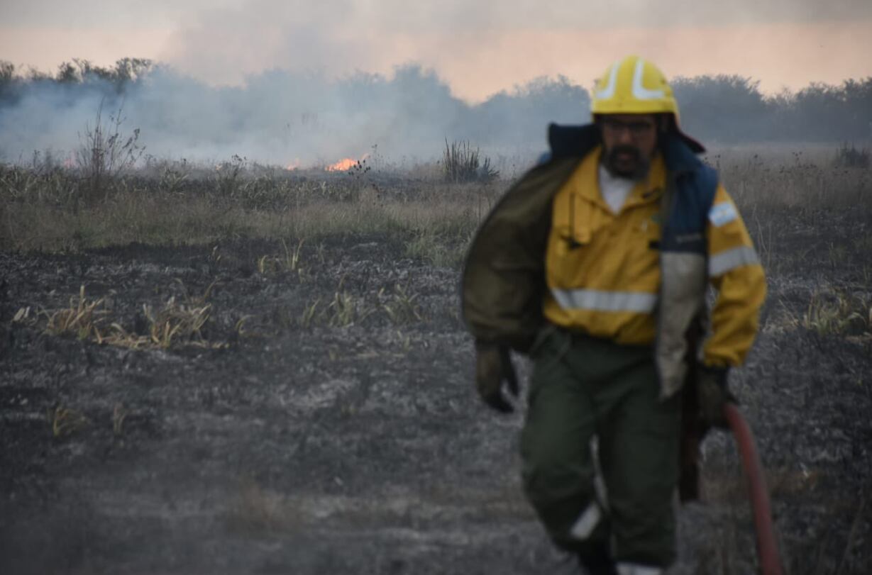 Incendio en la Reserva Natural de Punta Lara (@danyvilar / @ambientepba)