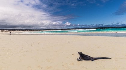 Praia Bahía Tortugas (IStock)