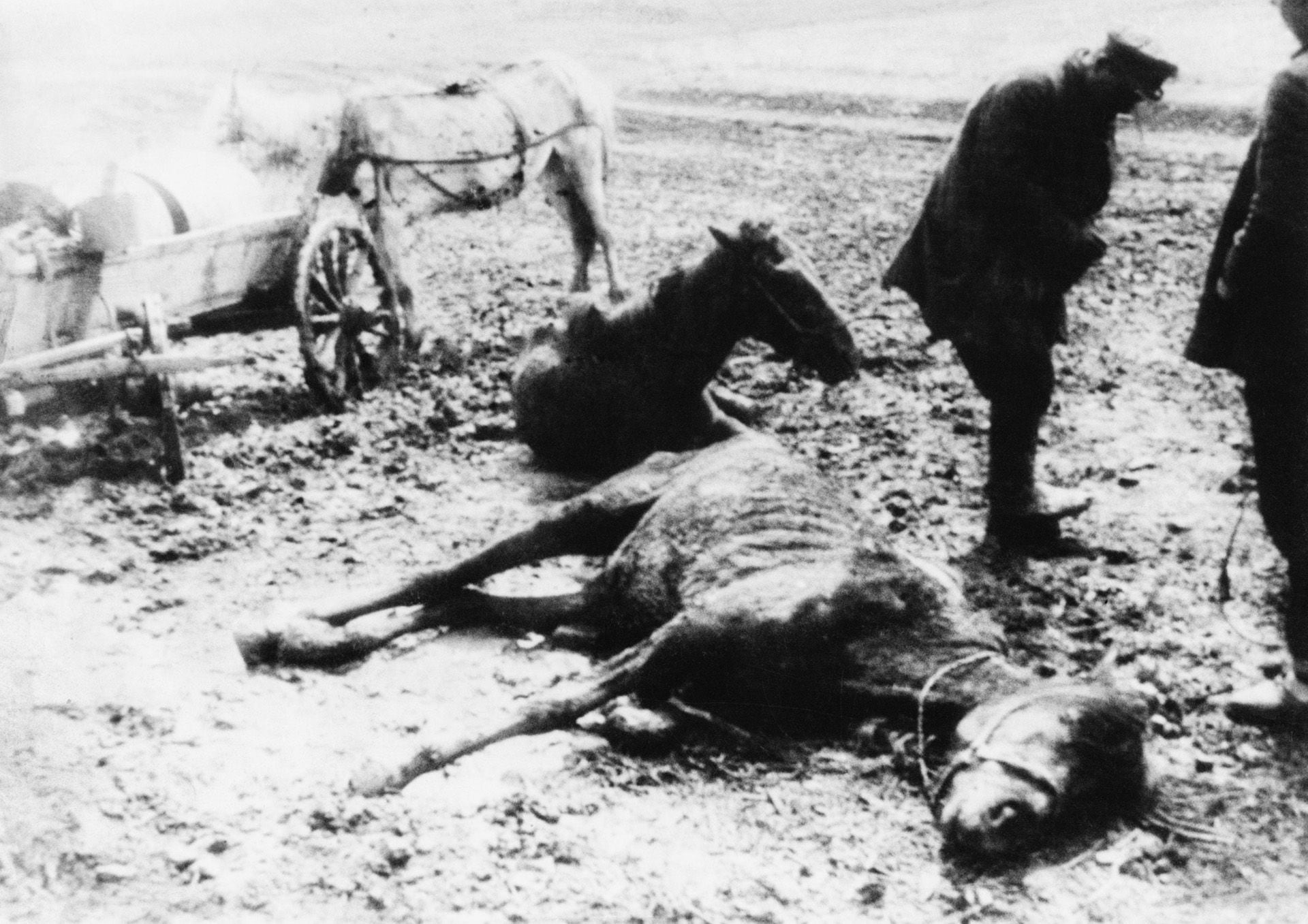 Holodomor Famine in Ukraine