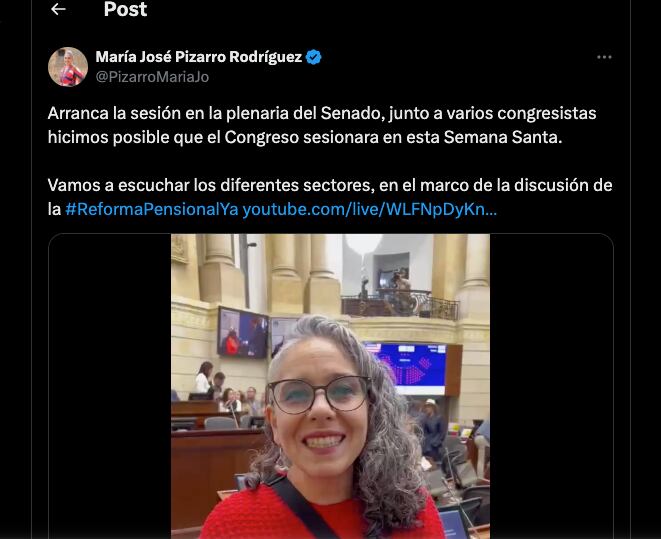 María José Pizarro habla de la sesión del 26 de marzo en el Senado - crédito @PizarroMariaJo