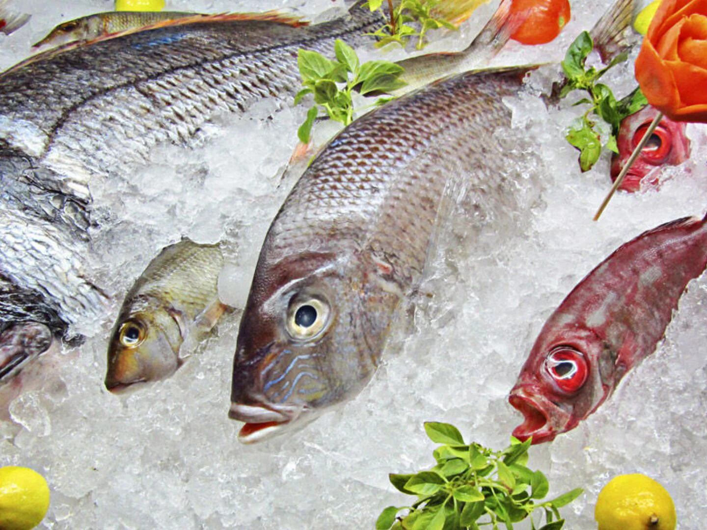 🐟​ 5 trucos para reconocer el pescado fresco 