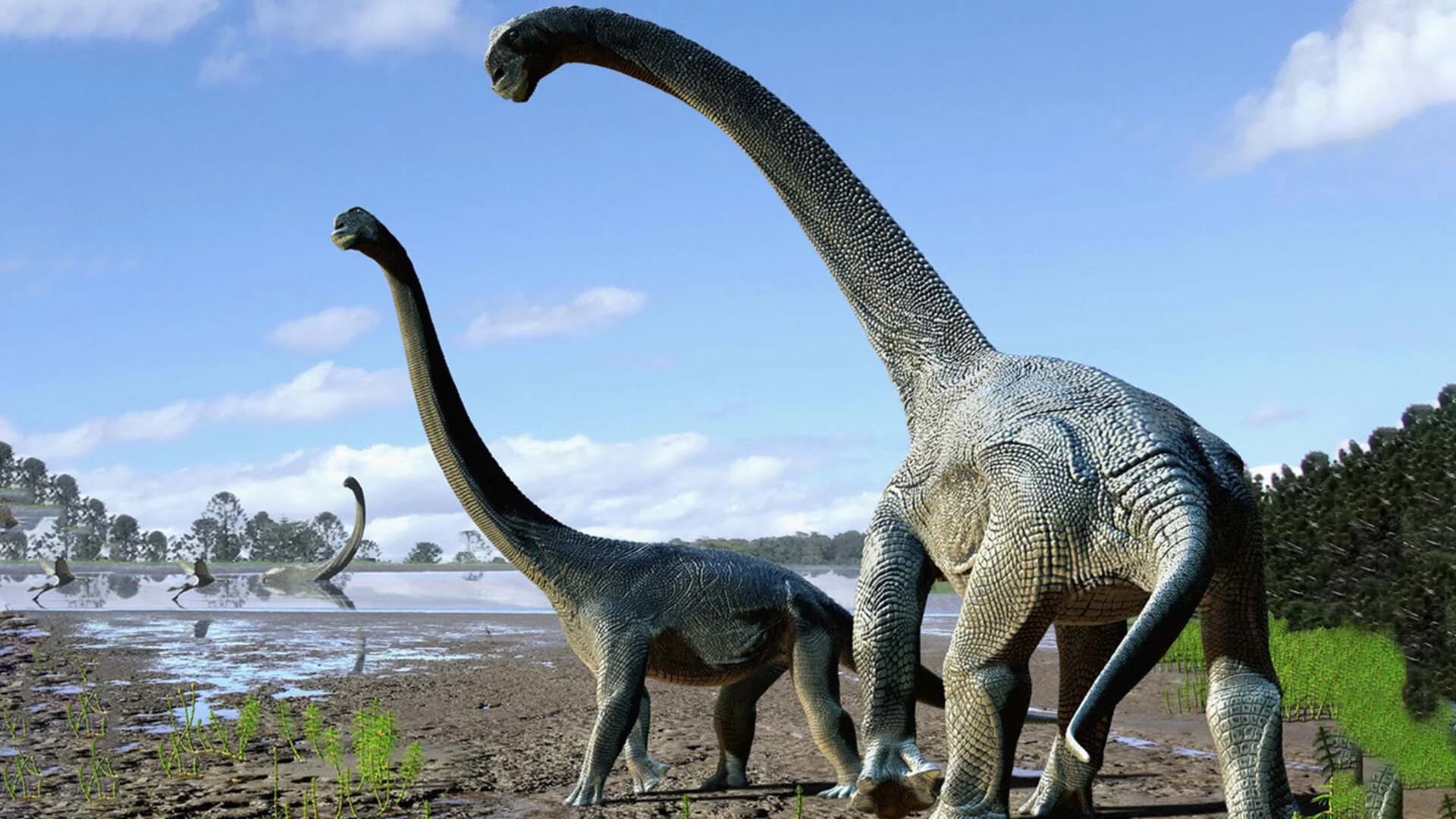¿Los dinosaurios fueron los primeros en sentir empatía visual?