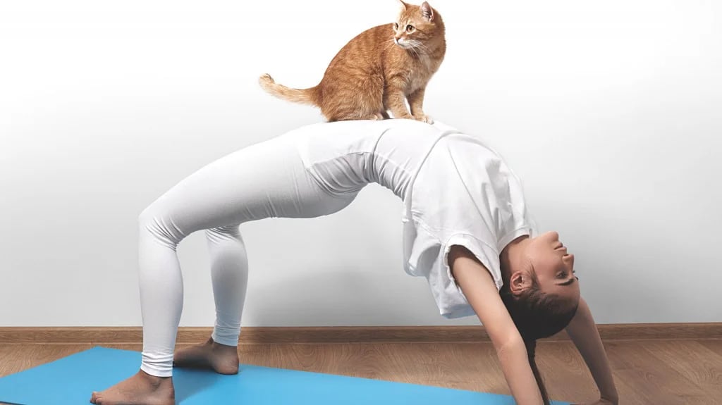 Incorporar mascotas a la práctica a los ejercicios de yoga es una tendencia que gana terreno (Shutterstock)