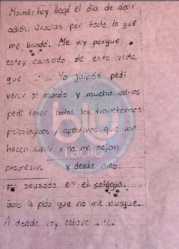 Una de las cartas que escribió Daniel a su madre, revelada por Blu Radio.