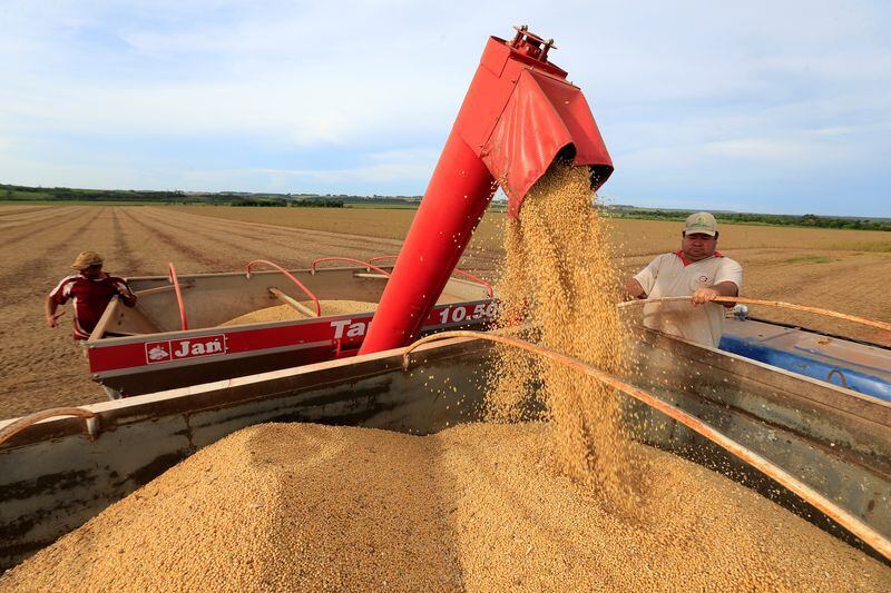 Se podrían obtener entre 48 millones a 50 millones de toneladas de soja en la próxima cosecha (REUTERS/Jorge Adorno)