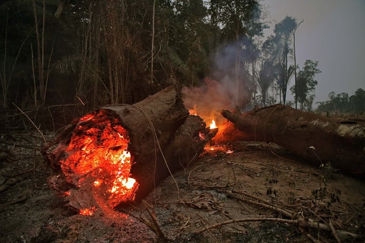 El presidente Jair Bolsonaro ha incentivado la tala de árboles en la Amazonía (Photo by CARL DE SOUZA / AFP)