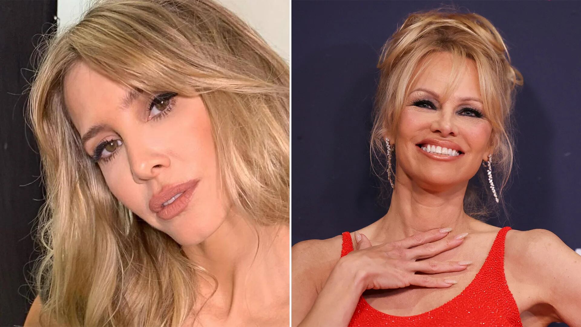 Guillermina Valdes y Pamela Anderson en un ida y vuelta virtual: “Perdón que sea tan cholula”