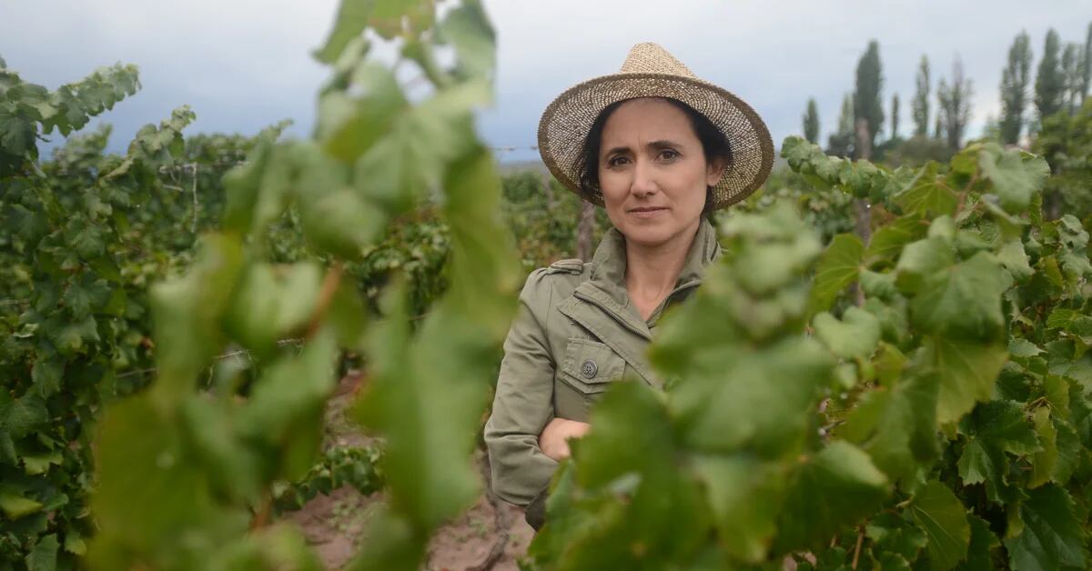 L’argentina Laura Catena ha vinto il premio internazionale “Eroina delle Antiche Vigne”