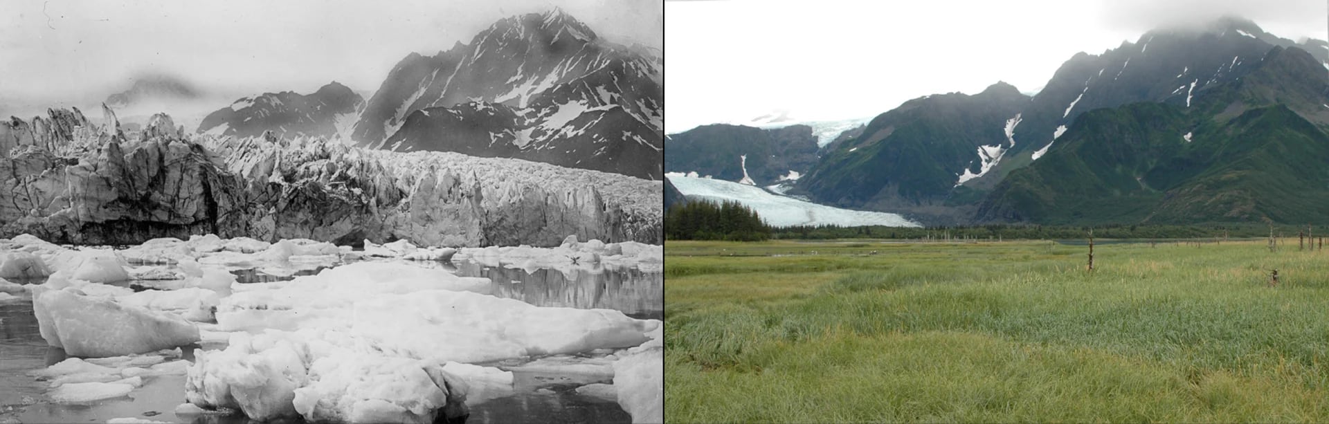 Derretimiento del Glaciar Pedersen, Alaska: verano de 1920 al 10 de agosto de 2005
