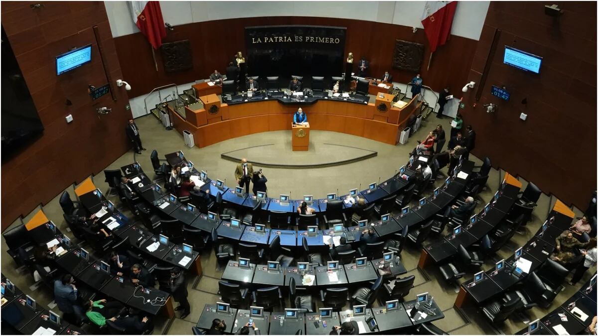 Comisión del Senado rechaza desaparición de poderes en Guanajuato y Guerrero