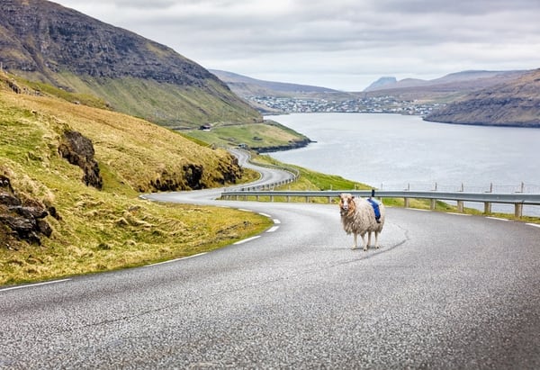 Google se interesó por el proyecto después de una petición que se viralizó a través de las redes (Cortesía de Visit Faroe Islands / The Washington Post)