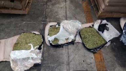 Con el aseguramiento reciente se acumulan más nueve mil 700 kilogramos de droga incautadas en diversas acciones desde marzo, entre cargamentos de cocaína y cannabis sativa (Foto: FGR)