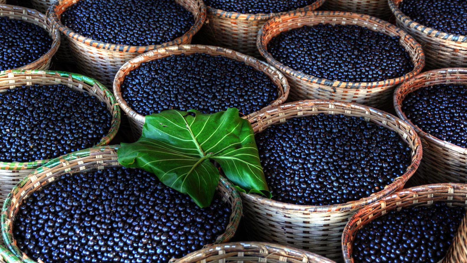 Los beneficios del acai radican en gran parte a su poder antioxidante, razón por la que se le adjudica su propiedad de “retardar el envejecimiento”
