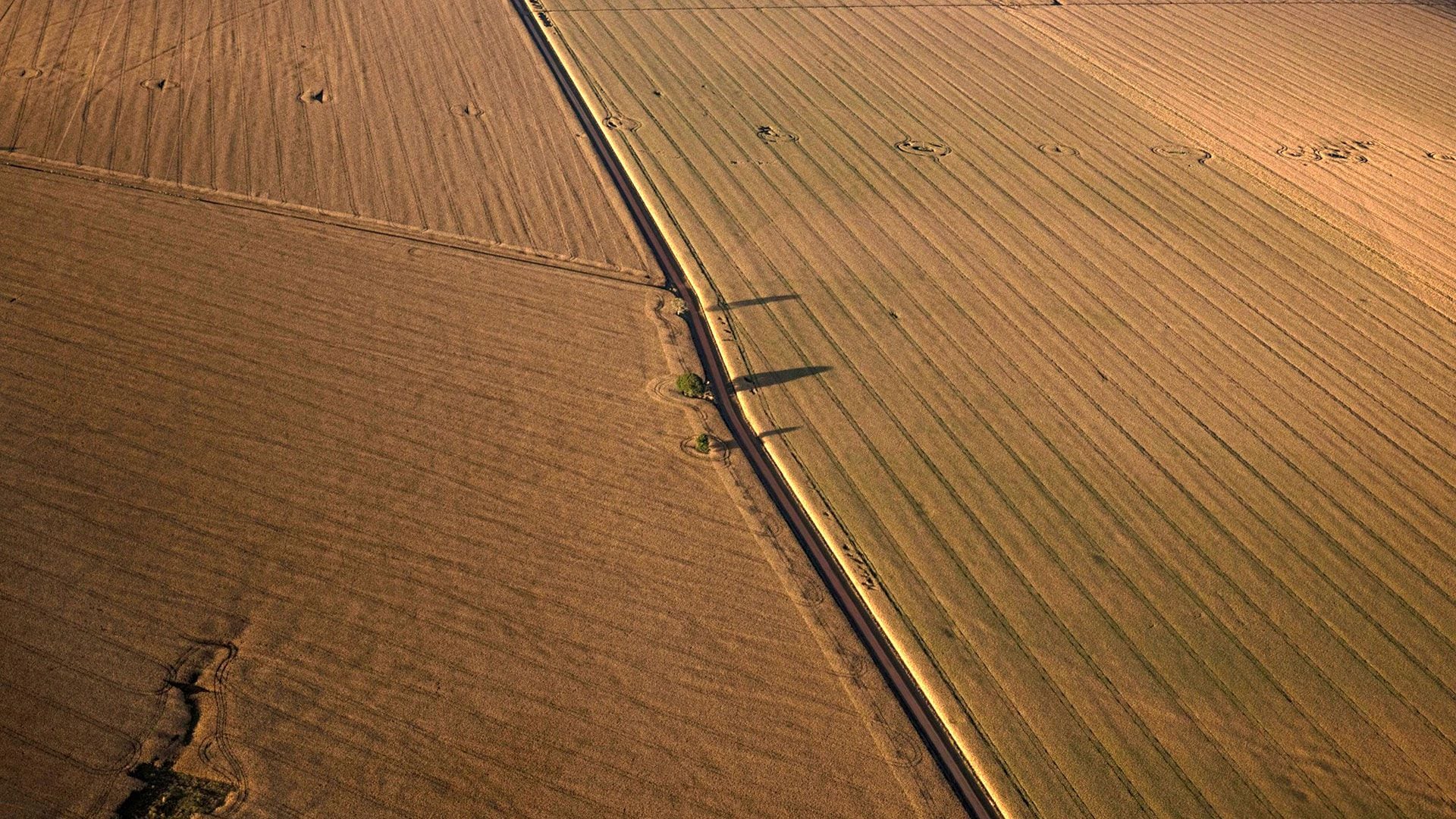 Agroindustria-en-Brasil-portada