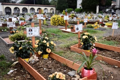 Las tumbas de quienes murieron recientemente de coronavirus, en el cementerio de Nembro, cerca de Bérgamo (Reuters)