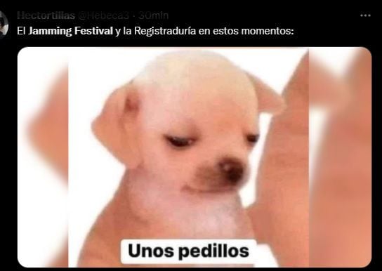 Jamming Festival : Les mèmes qui abondent sur les réseaux sociaux après la suspension de l'événement. Photo : Twitter